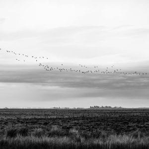cloud migration implementation strategy